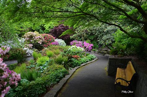 Rhododendron garden portland oregon - Crystal Springs Rhododendron Garden. Portland Parks & Recreation. Portland. 45°28′47″N 122°38′8″W. / 45.47972°N 122.63556°W / 45.47972; -122.63556. Elk Rock Gardens of the Bishop's Close. Episcopal Diocese of Oregon. Dunthorpe. 45°26′23.17″N 122°39′5.13″W.